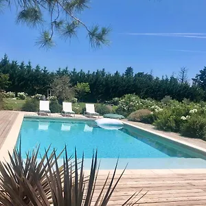 Frühstückspension La Maison Des Lonnes, Châteaurenard